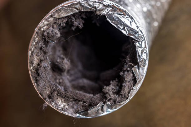 Best Air Duct Cleaning Cost  in Lake Jackson, TX