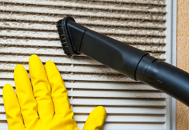 Best Professional Duct Cleaning Services  in Lake Jackson, TX